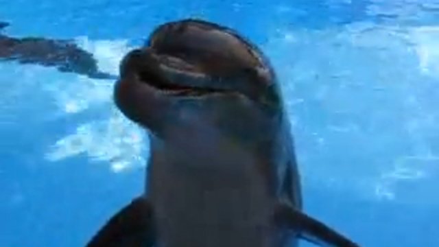 mamma mia! N2 смотреть онлайн