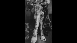 Нагора Отпечатки Кольщик.mp4