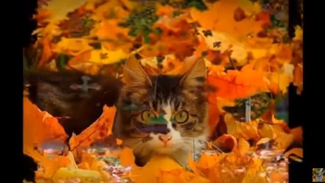 ФЕДОР ТЮТЧЕВ - Листья..., муз., исп. #СамуилФрумович смотреть онлайн