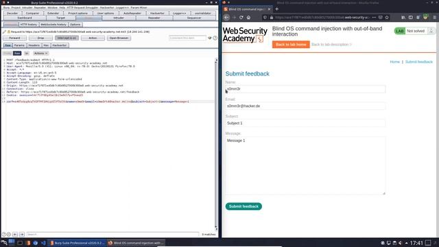 Blind OS command injection with out of band interaction (Video solution, Audio) смотреть онлайн