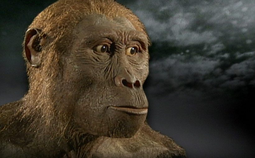 Эволюция человека за 8 минут смотреть онлайн