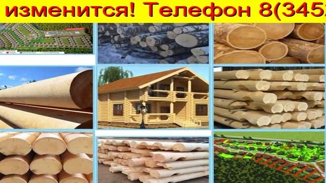 лес кругляк пиловочник в Тюмени смотреть онлайн