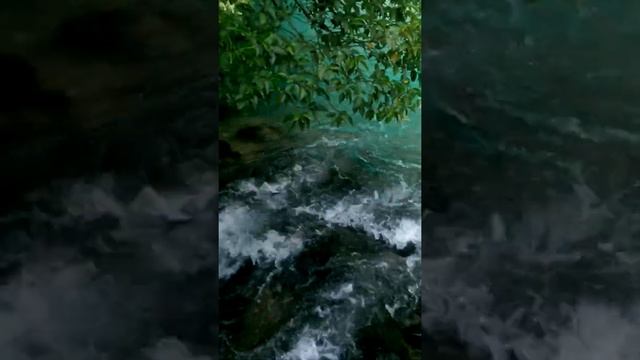 Столько людей я еще нигде не видел. Невероятное место. Голубое озеро в Абхазии. #Shorts смотреть онлайн