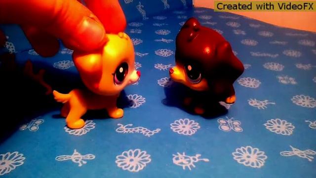 Клип блондинка & брюнетка смотреть онлайн