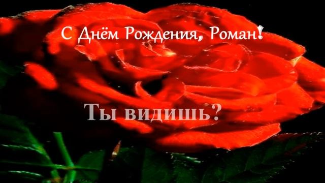 Смешное поздравление. С Днём рождения, Роман! смотреть онлайн