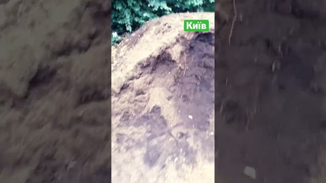 Чернозем в мешках Перегной Торф Кора сосновая#чернозем #перегной смотреть онлайн