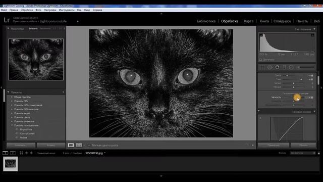 Превращаем цветное фото в черно-белое с помощью Adobe Lightroom смотреть онлайн