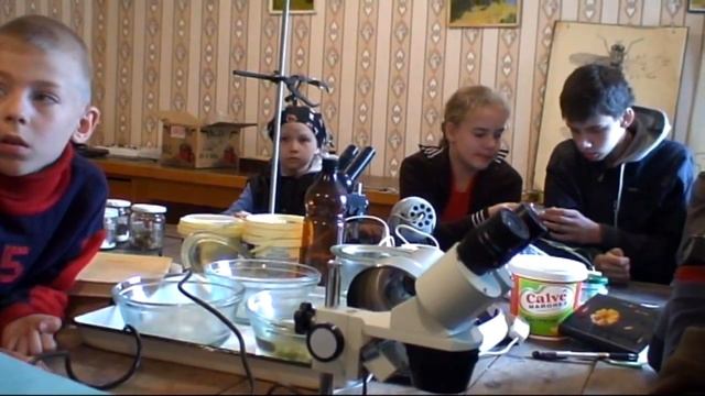 Туристский лагерь. Энтомология смотреть онлайн