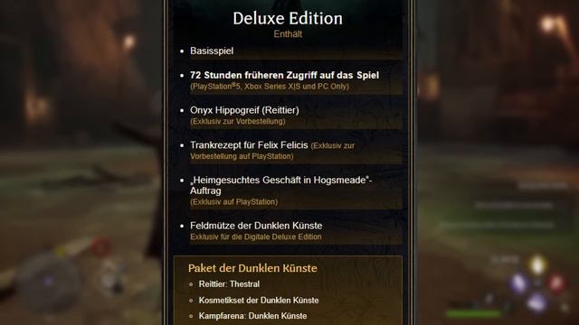 Diese VERSION von HOGWARTS LEGACY ist die BESTE | Hogwarts Legacy Deutsch смотреть онлайн