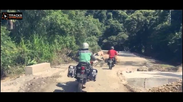 RIDE HONDA CRF250 RALLY смотреть онлайн