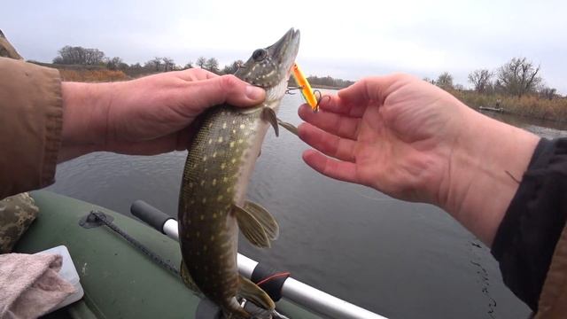 Щука на воблер Strike Pro Inquisitor 130SP и Strike Pro Montero 110SP. Також розловив свого джерка. смотреть онлайн