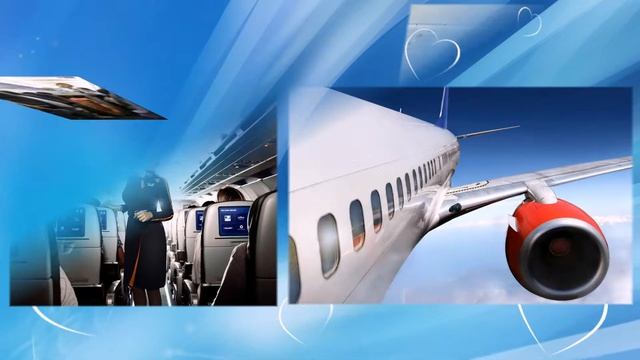 Профессия стюардесса описание. Песня стюардессу песня стюардессы. смотреть онлайн