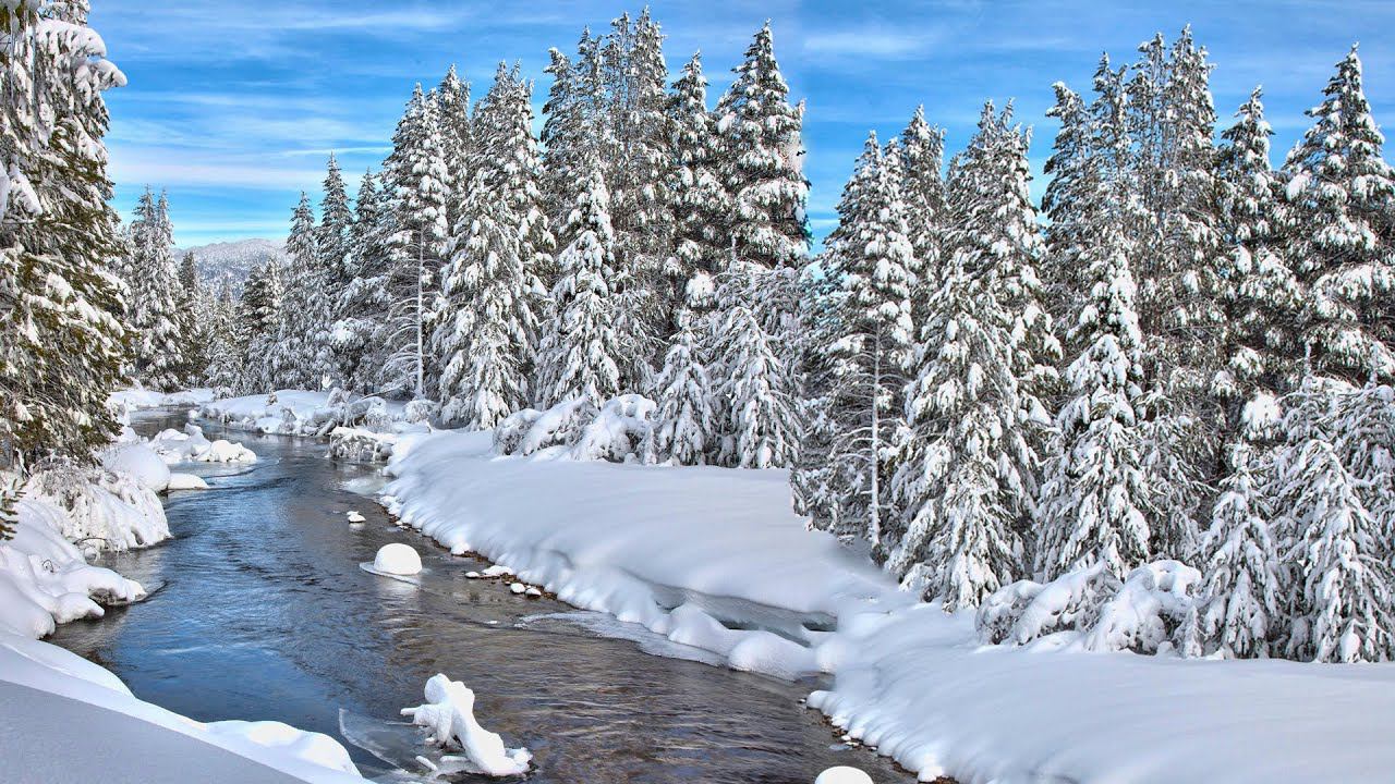 Фон осень/зима - предзимье. Лес, река, вода, снег, деревья - футаж для видео монтажа зимний фон смотреть онлайн
