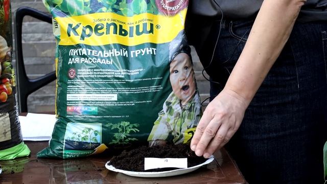 Выбираем грунт для рассады! смотреть онлайн