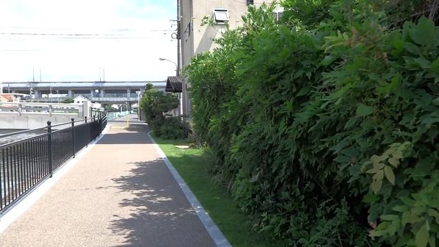 7月7日　花壇の様子　SONY CYBERSHOT　WX-60 смотреть онлайн