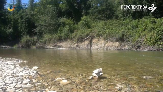 Земельный участок 8 соток в селе Береговое смотреть онлайн
