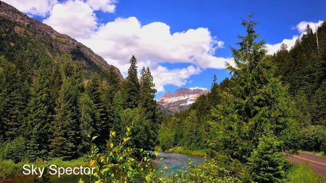 Kонцентрация внимание. NikOsho