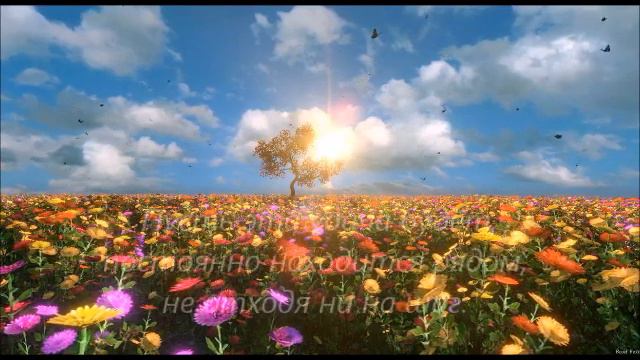 Красивое пожелание хорошего дня смотреть онлайн