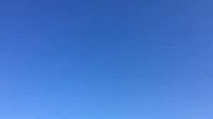 Крик ястреба тетеревятника.