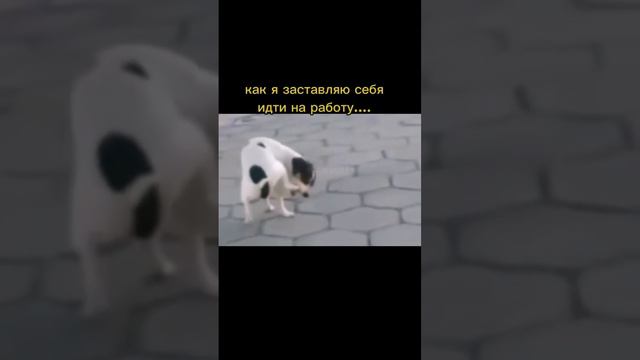 как я заставляю идти себя на работу смотреть онлайн