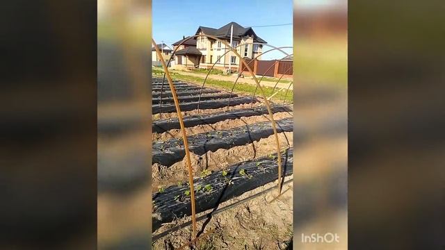 Установка первого балагана,и немного о подкормках. смотреть онлайн