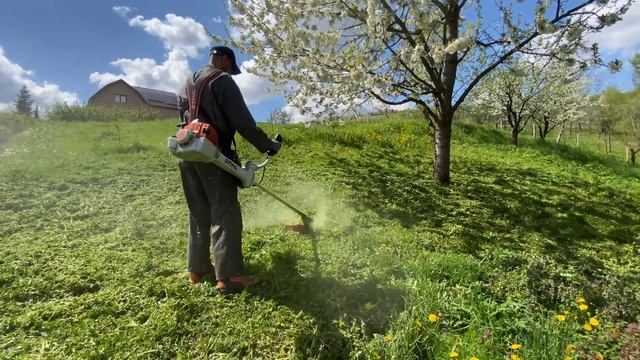 Cutting new and fresh grass with Stihl Fs 460-C .( Motocoasa Stihl.) смотреть онлайн