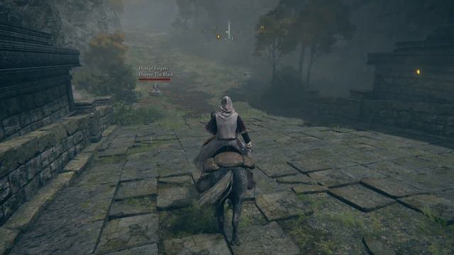 Seamless coop Elden Ring - Cheating mage stufff смотреть онлайн