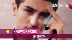 Аудио: Некруз Ниёзов - Нигоро туи / Nekrooz Niyozov - Nigoro Tuyi (2018)