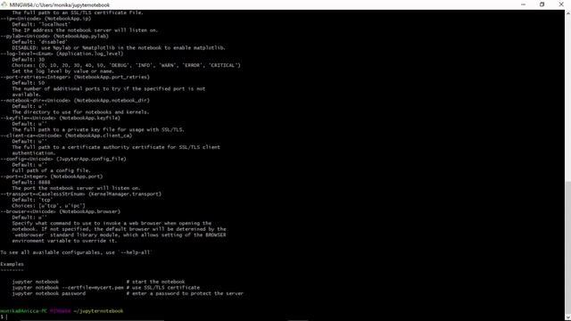 6 Invoke Jupyter Notebook смотреть онлайн