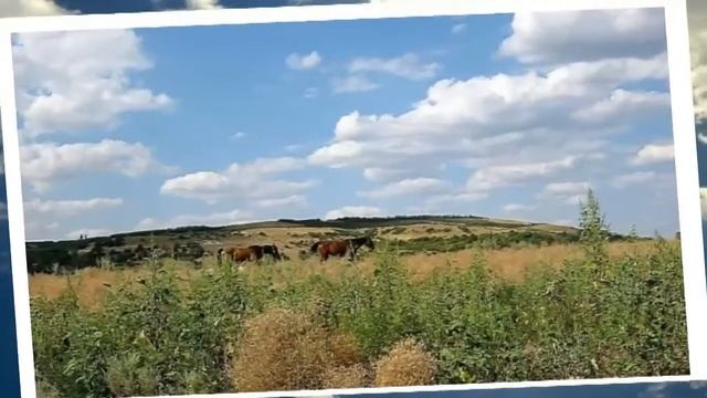 Наши места! смотреть онлайн