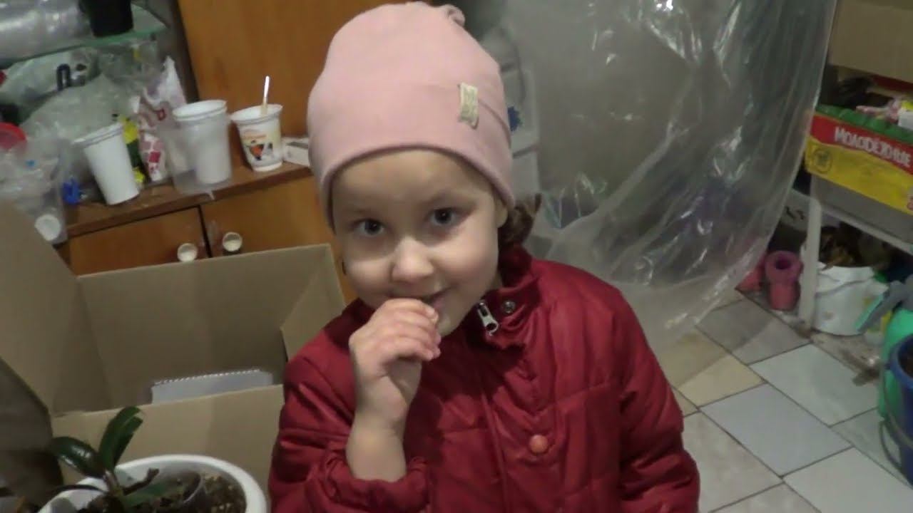 НАЧАЛИСЬ ПРОБЛЕМЫ / ПУСКАТЬ НЕЛЬЗЯ / Я ДУМАЛ ЭТО ДЯТЕЛ / ЦАРСКАЯ КОРОНА смотреть онлайн