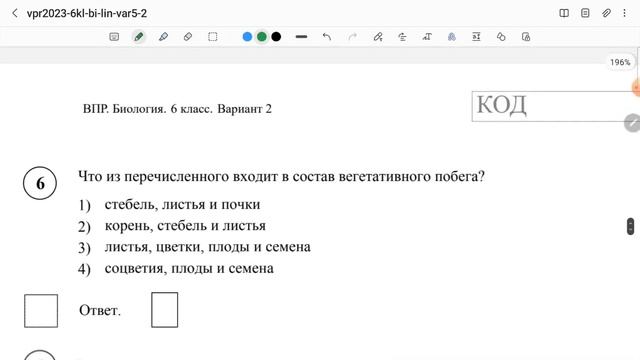 ВПР по биологии, 6 класс 2023(весь разбор и всё понятно))