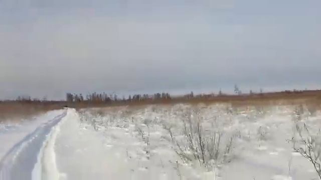 Спасатели искали сторожа смотреть онлайн