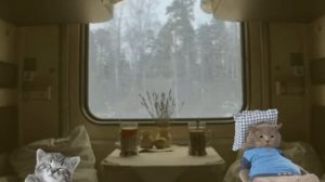 Белая ночь(не черниговская хата)