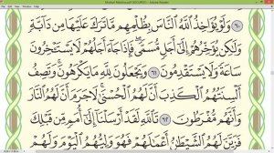 Шейх Айман Сувейд сура Ан Нахль стр 273