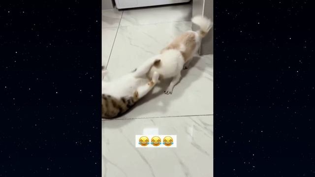 ЛУЧШИЕ ПРИКОЛЫ 2022 ИЮЛЬ / РЖАКА ДО СЛЕЗ / ПРИКОЛЫ #приколы #приколы2022 #подборкаприколов2022 #угар