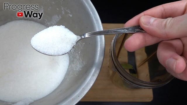 Зацвел Сразу! 1 листик под любой цветок и пышное цветение вам обеспечено круглый год! смотреть онлайн