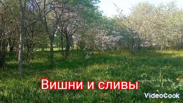 АН "Этажи" Земельный участок д. Новое 22,5 сотки ЛПХ смотреть онлайн