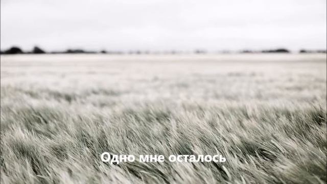 Станция Видеопарк - Приходить к тебе смотреть онлайн