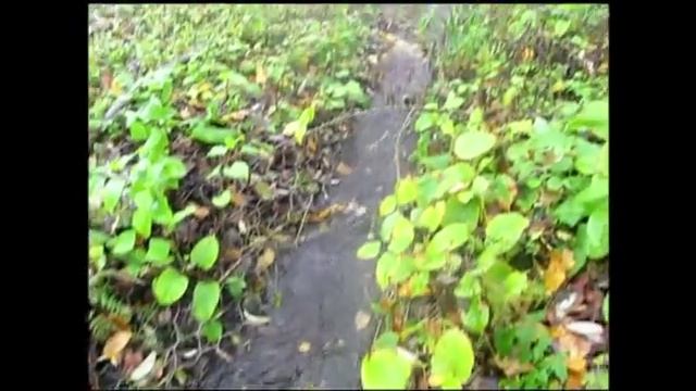 сентябрьский вальс 2 смотреть онлайн