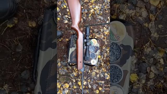 Борнер XS12 , подбор пуль  и сравнение результатов. Продолжение.