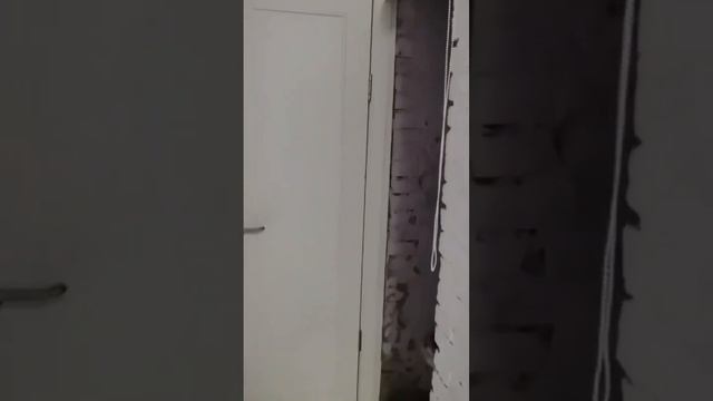 2комн под арктическую ипотеку 59 м2 #норильск #арктика #недвижимость смотреть онлайн