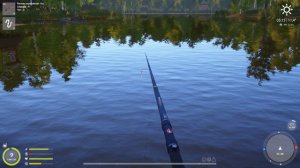 Рыбалка на поплавок