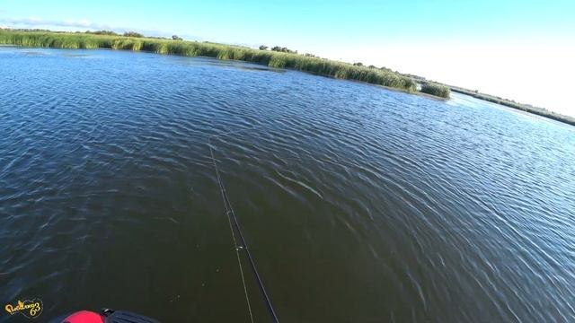 Рыбалка на спиннинг осенью, щука начала жрать смотреть онлайн