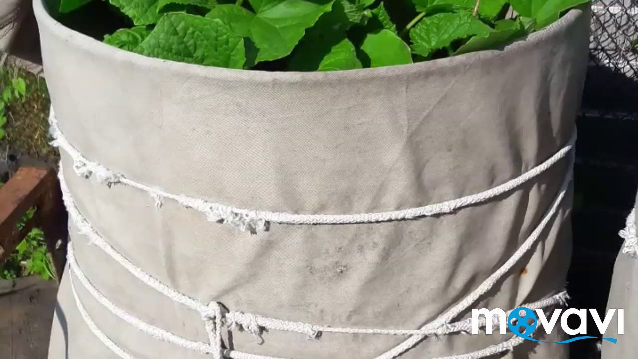 Выращивание ОГУРЧИКОВ в теплой бочке!