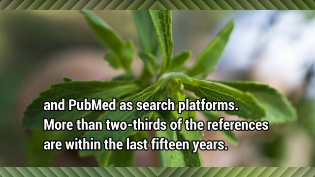 A Review on Stevia rebaudiana (Bert.) Bertoni, a Natural Sweetener смотреть онлайн