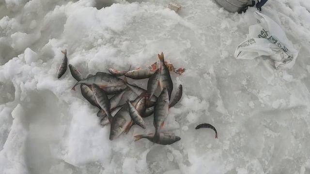 Мотобуксировщик ПОМОР выезд на рыбалку! Возвращение по воде. смотреть онлайн