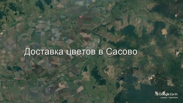 Доставка цветов в Сасово - Заказ букетов от компании Скорая подарочная помощь смотреть онлайн