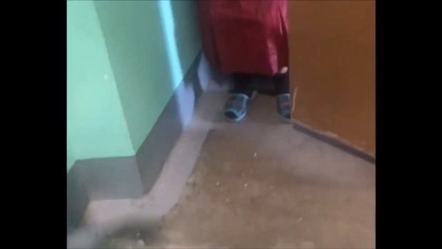 Давайте помогать пожилым людям. смотреть онлайн