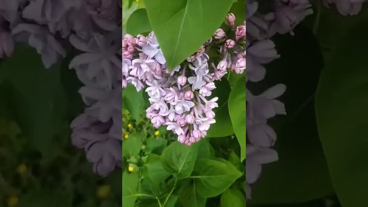 31 мая 2022 г. смотреть онлайн